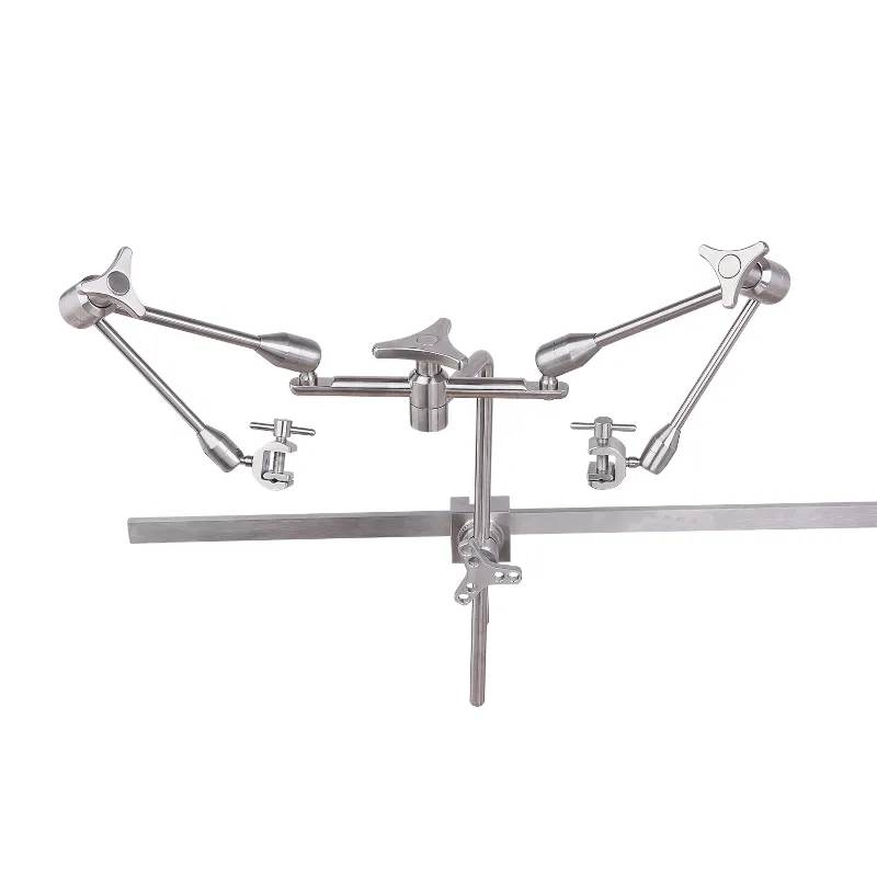 Endoscope Free Arm Endoscope Free Arm